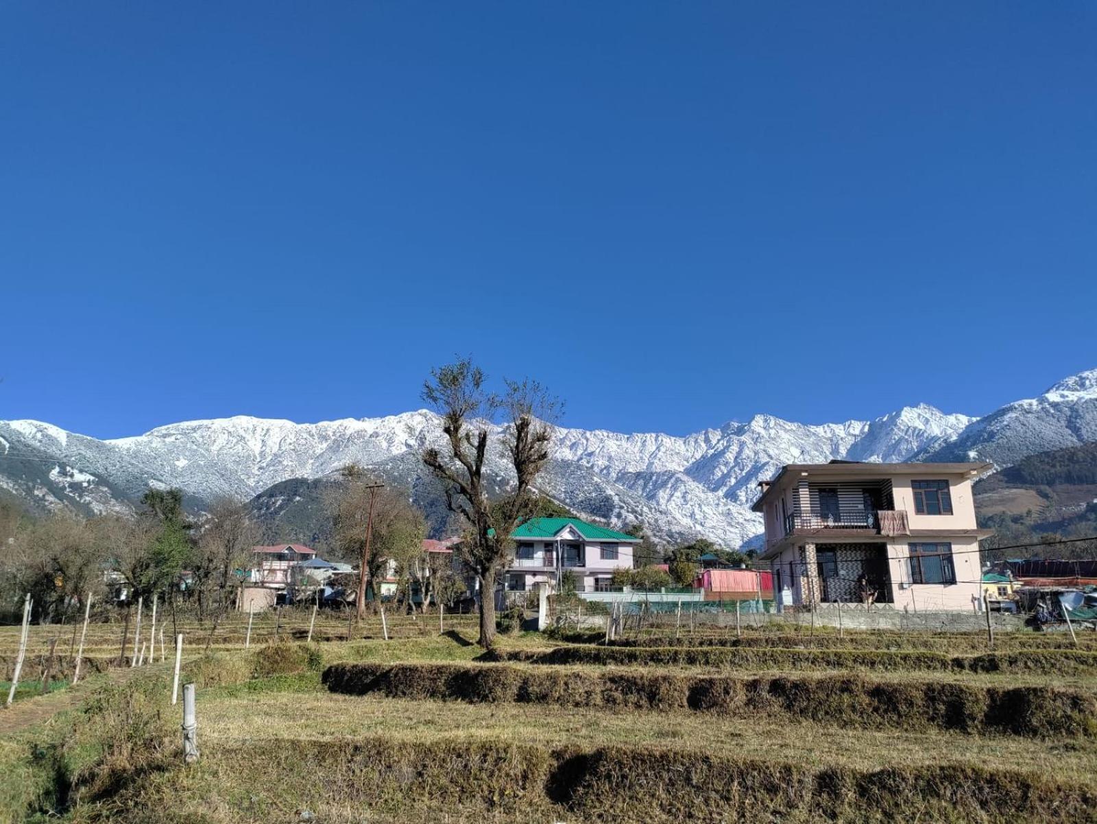 Homestay Palampur View Eksteriør billede